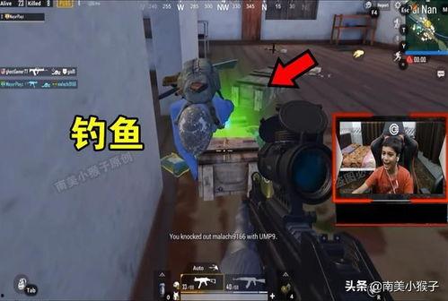 直播雨林吃瓜,揭秘热带雨林中的神秘“吃瓜”之旅