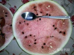 密塘瓜怎么吃,解锁夏日清新美味