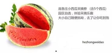 肌肤之味吃瓜,探寻夏日消暑美食之旅