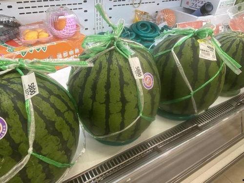 7seven吃瓜,揭秘娱乐圈幕后真相