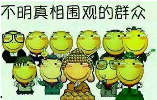 吃瓜群众小胖图,揭秘吃瓜群众的欢乐日常