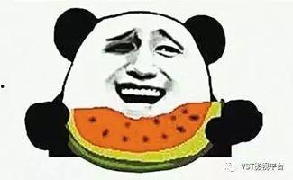 吃小胖瓜,探寻独特风味与美味佳肴