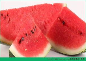 海经贸吃瓜,一场吃瓜群众的狂欢盛宴