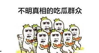 网路吃瓜群众,揭秘网络舆论场的众生相