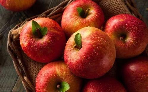 苹果大福吃瓜,吃瓜群众的甜蜜诱惑 第2张 苹果大福吃瓜,吃瓜群众的甜蜜诱惑 第2张