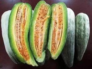 淮南寿县哪里吃瓜最好,探寻最佳吃瓜胜地