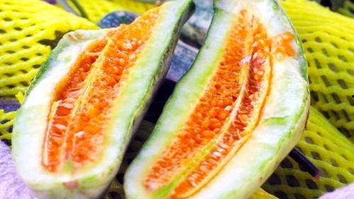 免费吃瓜网站地,带你领略网络娱乐新风尚