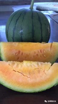 七彩吃瓜,揭秘瓜界奇闻异事