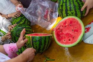 台湾吃瓜的视频,揭秘岛内热门话题与趣味瞬间