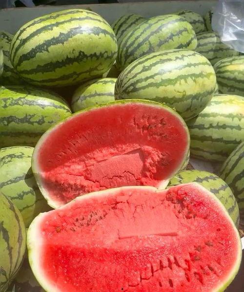 全国吃漳州的瓜,全国共赏闽南风味