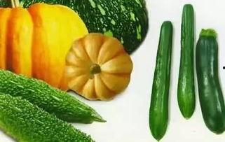 wifi6吃瓜,揭秘新一代无线网络革命