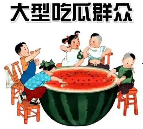 校园小说吃瓜素材,吃瓜群众眼中的那些事儿
