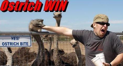 哑巴被打吃瓜,一场吃瓜群众的围观与反思