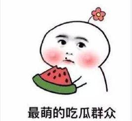 带你吃瓜讲奇葩考题,奇葩考题背后的趣味与智慧