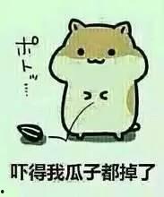 谨慎吃瓜原视频