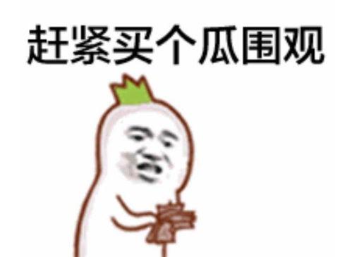 吃瓜群众考试视频,一场全民参与的趣味盛宴