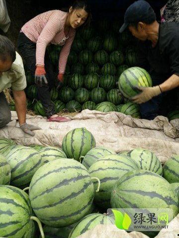 武安最近吃瓜新闻,揭秘本地热点事件背后的故事