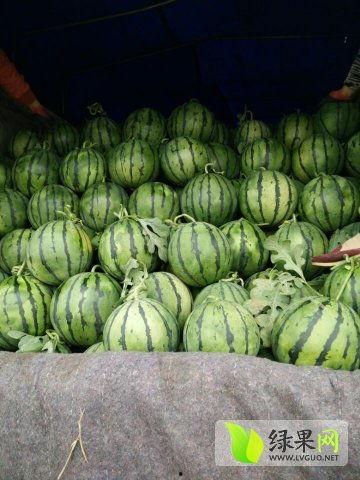 武安最近吃瓜新闻,揭秘本地热点事件背后的故事