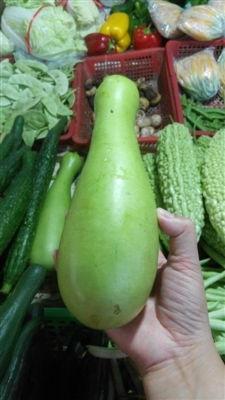 吃蒲瓜中毒会有事吗