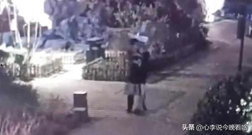 吃瓜视频老旧版