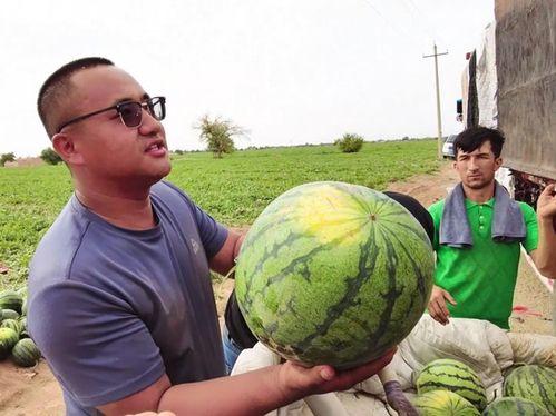 毛坦厂吃瓜,揭秘高考背后的社会现象