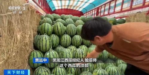 安婧吃瓜,揭秘娱乐圈幕后故事