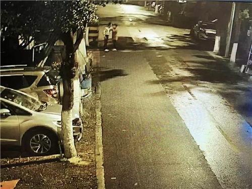 重庆吵架路人吃瓜,路人化身“吃瓜群众”现场直播