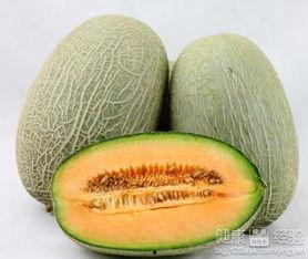 吃西瓜爱闹肚子吃哈密瓜,哈密瓜来解忧