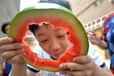 邯郸水城吃瓜事件