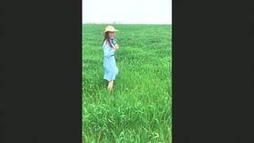 吃瓜系统给钱,揭秘瓜农赚钱新途径