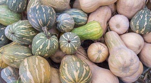 盐城金融女吃瓜,揭秘网络舆论背后的真相