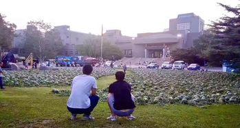 遂昌教师吃瓜事件