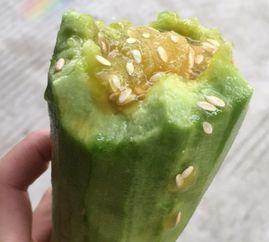 晚上吃羊角瓜,营养美味，养生新选择  第3张