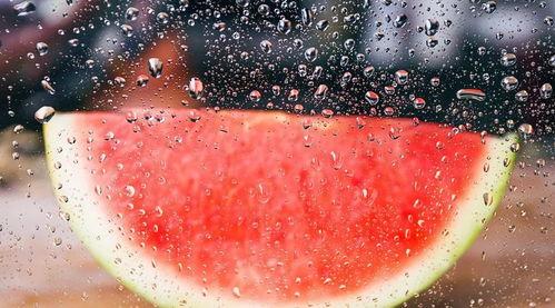 雪堆吃瓜,一场别开生面的冬日盛宴  第2张