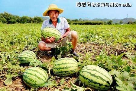 开车吃路边瓜  第2张